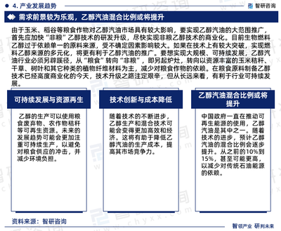 2024-2030年中國乙醇汽油行業(yè)發(fā)展現(xiàn)狀調(diào)查及市場分析預(yù)測
